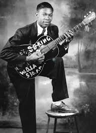 B B King Academy Of Achievement b b king academy of achievement