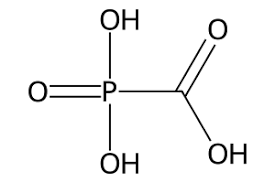 Image result for Foscarnet