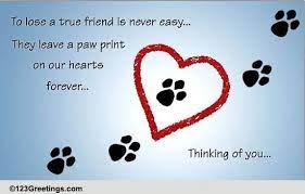 The owner sent a long and detailed email to the vet, explaining the circumstances of the pet's death, and thanking him for his the owner presumed that this terse reply must have been sent by an intermediary such as a staff member in the. Pin By Carolyn Degrate On Pets Dog Sympathy Pet Loss Pet Sympathy