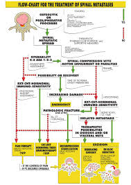 Flow Chart For The Treatment Of Spinal Metastasis