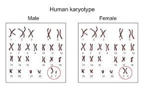 Maybe you would like to learn more about one of these? à¸£à¸« à¸ªà¸¥ à¸šà¹‚à¸„à¸£à¹‚à¸¡à¹‚à¸‹à¸¡ X