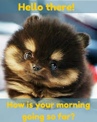 Good Morning Nik Are You Ready For Today Today Is Gonna Be Awesome Day New Blessings For You Nik Love You Meme Cute Love Memes Sweet Memes