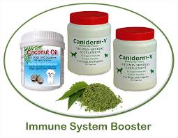 If you'd like to supplement your dog's food with a vitamin and mineral supplement, talk to your veterinarian before doing so. Dog Immune System
