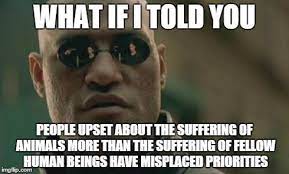 Matrix Morpheus Meme Teacher Memes Teacher Humor Science Teacher