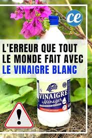 L Erreur Que Tout Le Monde Fait Avec Le Vinaigre Blanc Vinaigre Blanc Vinaigre Produits De Nettoyage Naturels