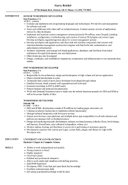 Use our free resume samples and land more job interviews. Wordpress Developer Resume Samples Velvet Jobs
