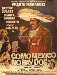 Esta dirigida por rafael villaseñor kuri y protagonizada por vicente fernández, blanca guerra, cecilia. Peliculas De Vicente Fernandez Online Gratis