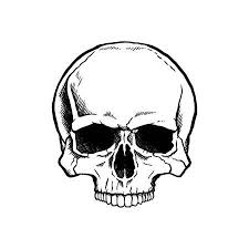 Black And White Human Skull Without A Lower Jaw Simple Skull Drawing Skulls Drawing Simple Skull