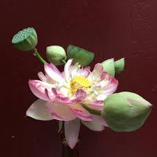 Maybe you would like to learn more about one of these? Exciting Week With New Local Sequoia Floral Int L Facebook