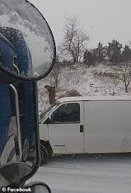 No big deal, just a camel on 309 in a snowstorm. Pennsylvania Drivers Are Stunned As A Camel Is Seen Walking On A Highway During A Snowstorm Daily Mail Online