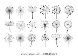 Similar Images Stock Photos Vectors Of Abstract Flower Vector Dandelion 127134734 Shutters Dandelion Tattoo Design Flower Drawing Dandelion Tattoo Small