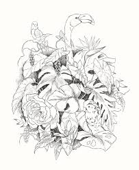 Tropical leaf coloring page free instant digital download. Hand Drawn Branches And Leaves Of Stock Vector Colourbox