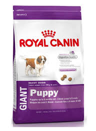 Because the great danoodle is such a big dog, he will require a good amount of food every day in order to maintain overall however, his exercise requirements are considered more moderate compared to the poodle. Royal Canin Giant Puppy Food For Great Dane St Bernard Mastiff 15 Kg Amazon In Pet Supplies