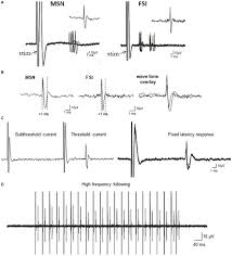 A korlátozott befogadóképesség miatt, a részvételi szándékot kérjük mielőbb jelezni! Frontiers Phosphodiesterase 9a Inhibition Facilitates Corticostriatal Transmission In Wild Type And Transgenic Rats That Model Huntington S Disease Neuroscience