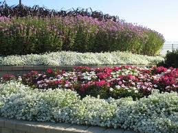Landscaping At The O Hare International Airport City Escape Garden Center And Design Studio Landscape Projects Landscape Garden Center
