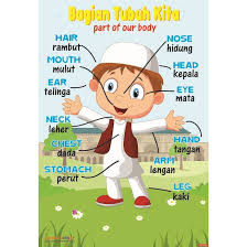 Download now jual pin tanda pengenal anak tk pin peniti nametag pin nama dki jakarta mokastore tokopedia. Tipe 06 Poster Belajar Anak Tk Seri Anggota Tubuh Shopee Indonesia