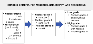 Free case evaluation · free guide overnighted · treatment options Es17 04 Updates In Mesothelioma Journal Of Thoracic Oncology