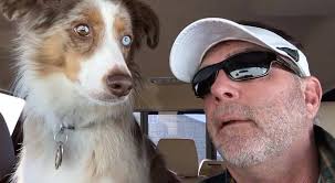 Jake wanted to come out and say hi to y'all, he's been missing you too  much!! #TuesdaysWithJake