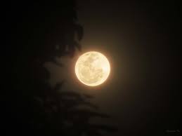 Tonight, peel your eyes away from the screen and look up at the skies instead. Https Journeytothestars Wordpress Com 2014 10 09 October 8 2014 Total Lunar Eclipse In The Philippines 2014 10 09t04 34 49 00 00 Monthly Https Journeytothestars Wordpress Com 2013 09 22 Travel Package To Outer Space 2013 10 11t09 07 57 00 00