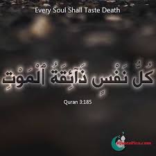 Islamic Quotes About Death In Malayalam Dowload Anime Wallpaper Hd Isis kids slaughter and shoot captives mercilessly. islamic quotes about death in malayalam