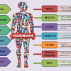 Aging changes occur in all of the body's cells, tissues, and organs, and these changes affect the functioning of all body systems. 1