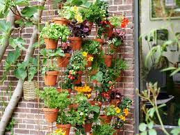 Melisse ist ein wahrer alleskönner im garten. Ein Garten Zum Essen Pflanzenfreude