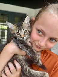 Kittens need a forever home in Osceola County