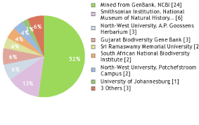 Image result for Blepharis buchneri