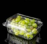 1000g Disposable PET Plastic Container Fruits Clamshell ...