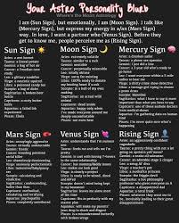 Very Insight Much Wow Astrology Zodiac