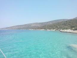Bodrum Akvaryum Koyu Geziler Gidilecek Yerler Akvaryum
