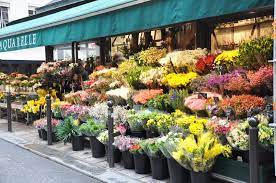 Lyla Loves Fashion Paris Fashion Week Aw13 Diary Part I Flower Shop Wholesale Flowers Cheap Flowers