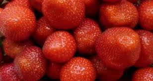 Increasing Ascorbic Acid Content Of Strawberries By Cultivation Methods And Postharvest Light Treatments Wur