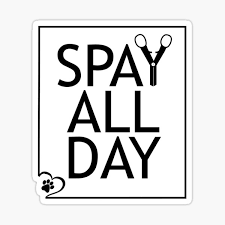 I adopted my little one from ecuador in 2007. Adoption Day Gifts Merchandise Redbubble