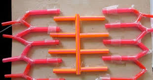 Sliding Filament Manipulative Model The Z Lines Can Be Moved Toward The M Lin Muscular System Lesson Plans Human Body Systems Projects Muscular System Anatomy