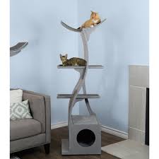 These adorable kittens are available for adoption in san francisco, california. Cat Trees Condos You Ll Love In 2021 Wayfair