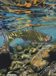 Freestone Colored Pencil Drawing Of A Cutthroat Trout By Travis J Sylvester Color Pencil Art Color Pencil Drawing Fly Fishing Art