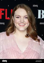 The purser hi-res stock photography and images