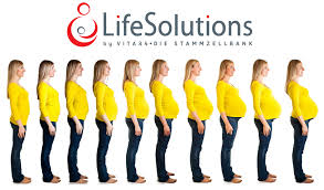 Fatul are 1kg si masoara 25cm; Sarcina Pe Luni È™i SÄƒptÄƒmani Trimestrul 1 Lifesolutions