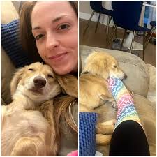 Doxies remind owners about dinner time