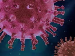 Day, the covid data tracker will not update on monday, january 18th. Coronavirus Covid 19 Information And Updates Penn State Health