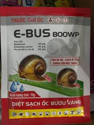 E-bus 800WP