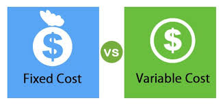 A factor or condition that is subject to change, especially one that is allowed to change in a scientific experiment to test a hypothesis. Fixed Vs Variable Top 8 Differences To Learn With Infographics