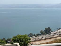 Gambar kartun ikan infoikan.com sudah tahu gambar ikan kartun di laut? Lovely Spacious 2 Floor 2 Bedrooms With Great Water View Tiberias Harga Terkini 2021