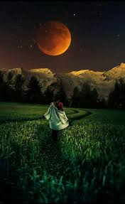 Pin En Moonlight