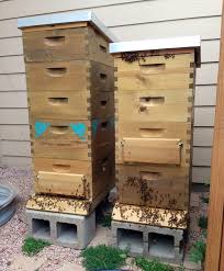 Your information will *never* be shared or sold to a 3rd party. 5 Tips For Starting Beekeeping Backyard Beekeeping