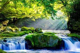 Download wallpaper pemandangan indah bergerak wallppapers gallery via chaspikserial.ru. Wallpaper Pemandangan Indah Dunia Gambar Hot Artis Dora Kelley Nature Park Waterfall 1157x768 Download Hd Wallpaper Wallpapertip