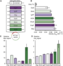 Aida is a copywriting acronym that stands for: Molecular Optimization Of Autotransporter Based Tyrosinase Surface Display Sciencedirect