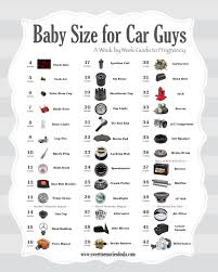 Pregnancy Baby Size Guide How Big Is Baby Fruit Chart