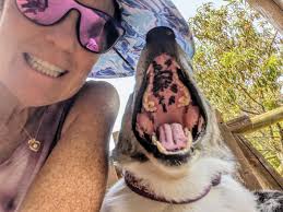 CWCCA 81st Annual National Specialty